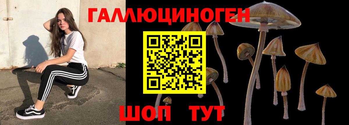 Псилоцибиновые грибы прущие грибы  Псилоцибиновые грибы Psilocybine cubensis  Вход с VPN  Ржев 